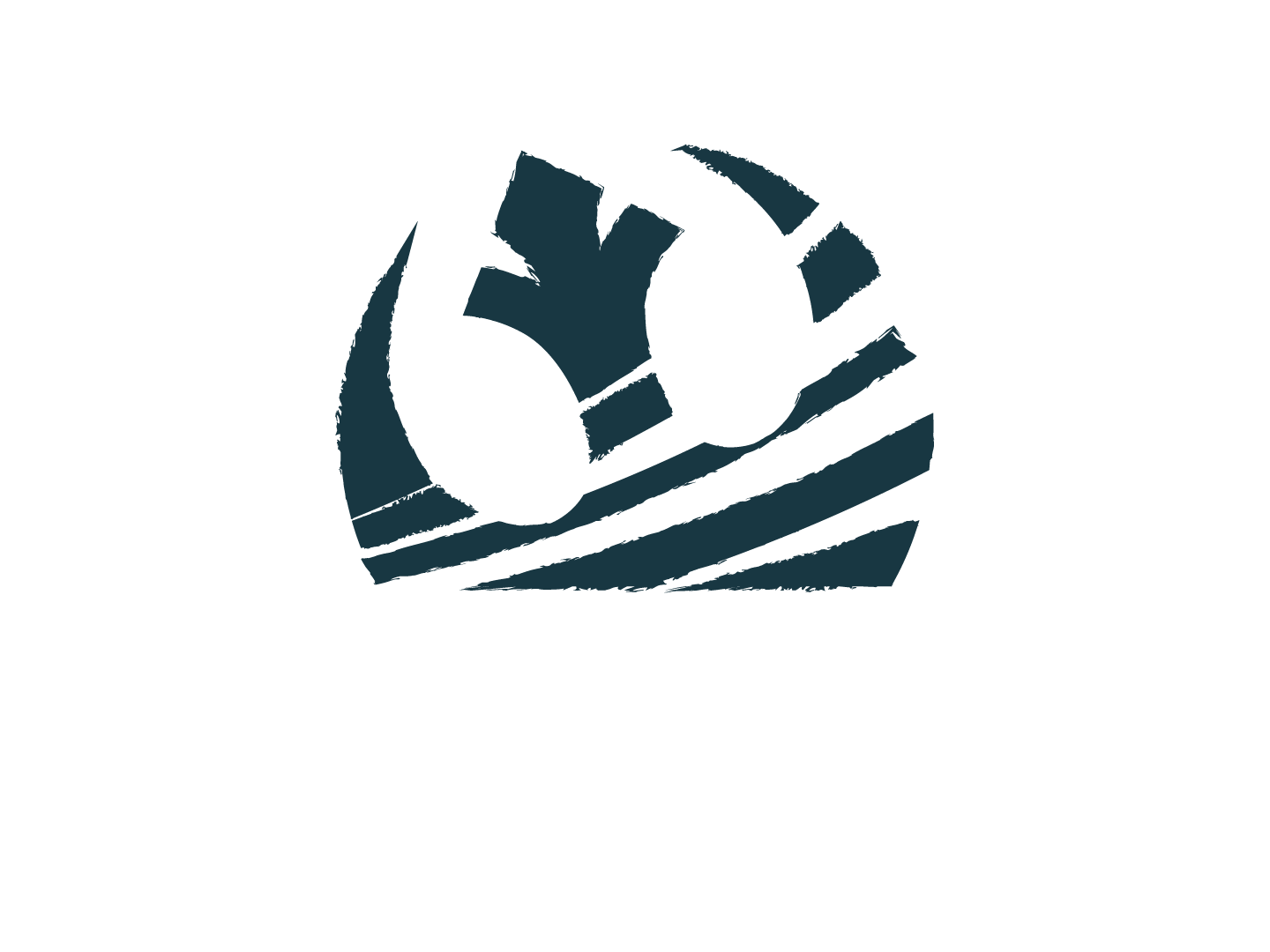 Storm Squadron Logo